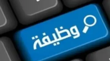 فرص عمل جامعة السويس وبورسعيد للأطباء.. الشروط الكاملة ومواعيد قبول الطلبات
